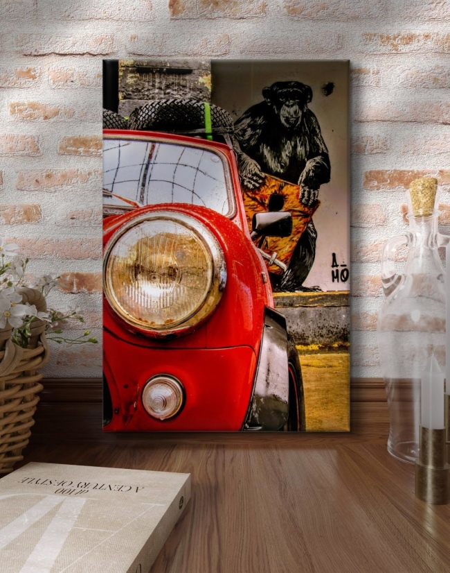 Photo 40x60 cm • la planète des singes • MINI • APR007