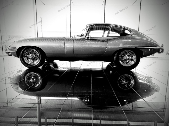 Photo 50x67 cm • désirable • JAGUAR • APR144