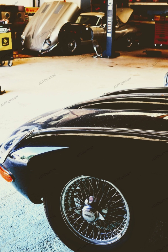 Photo 40x60 cm • l'atelier • JAGUAR • APR231