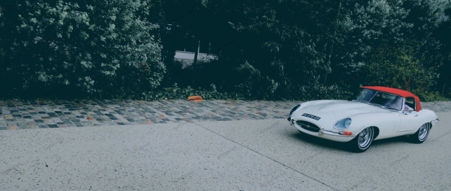 Photo 30x71 cm • en ballade • JAGUAR • APR232