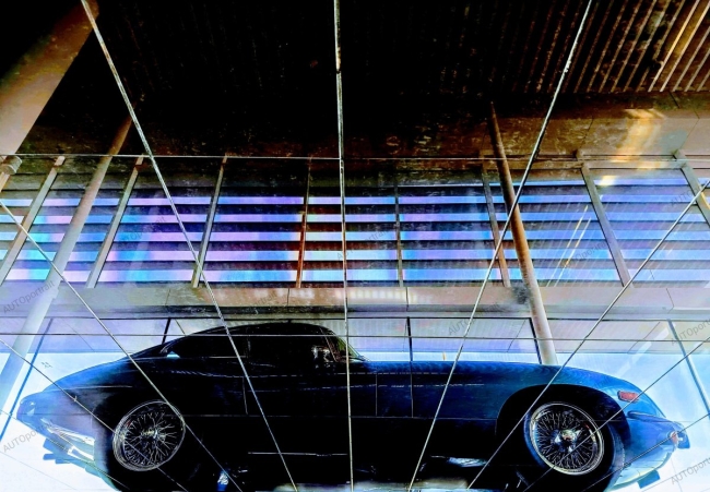 Photo 50x72 cm • plancher de verre • JAGUAR • APR233