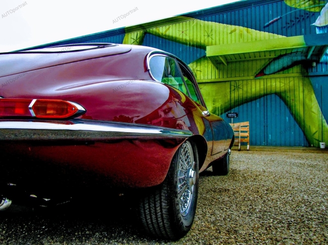 Photo 50x67 cm • point de vue • JAGUAR • APR236